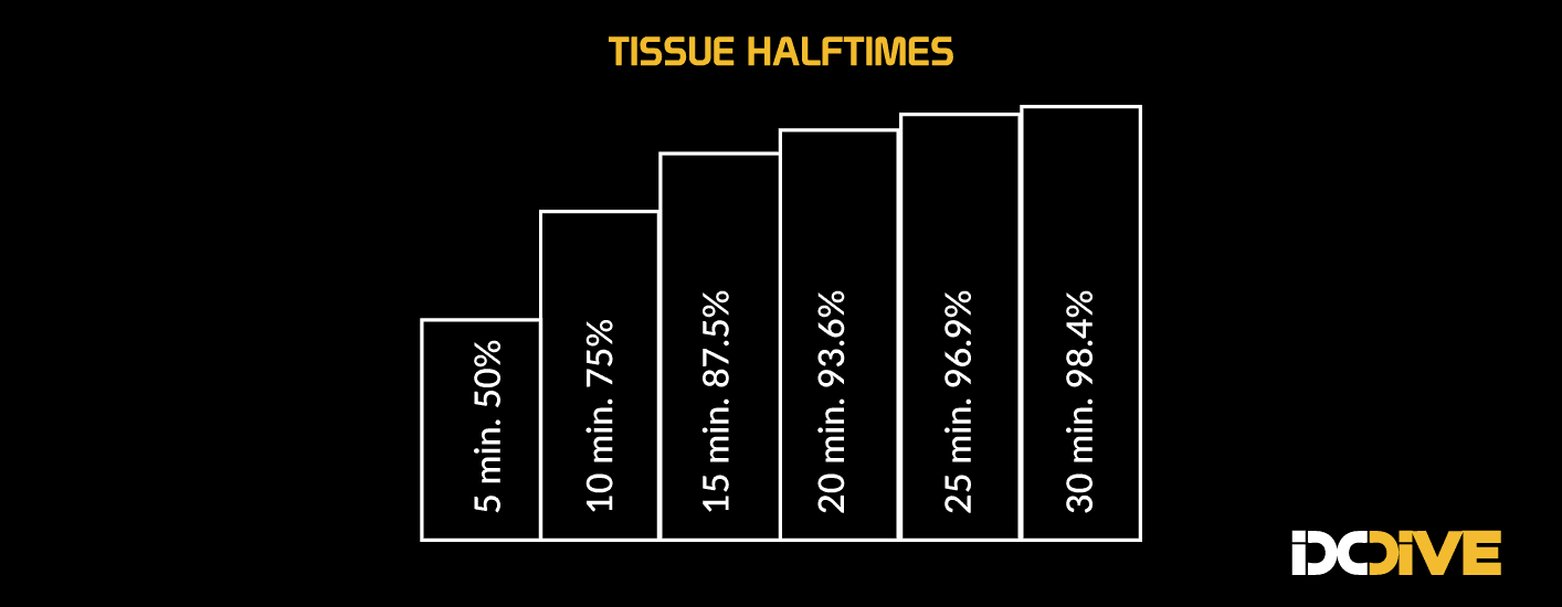 Dive Theory decompression -tissue halftimes