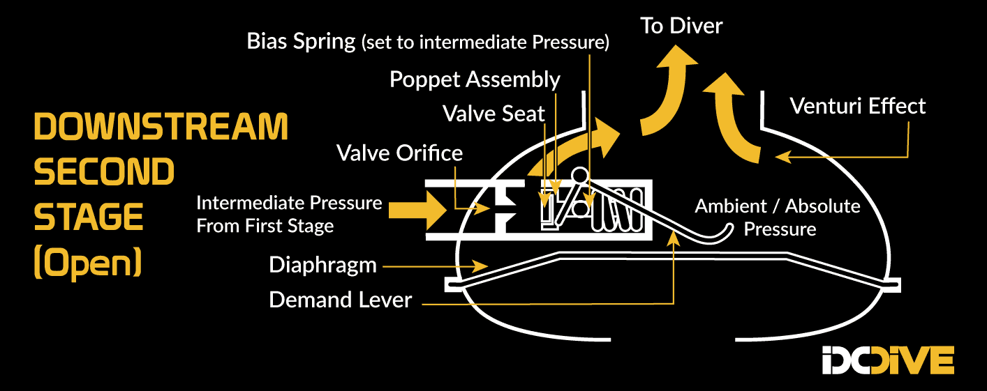 Dive Theory Equipment - second stage