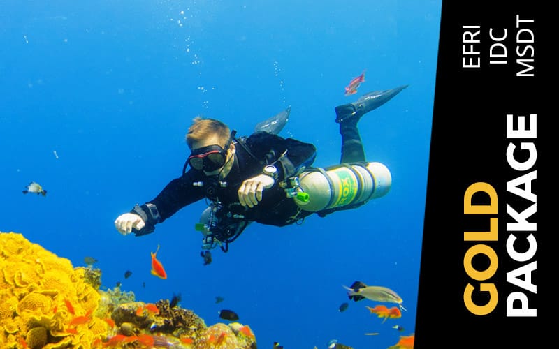 Gold Package IDC Dive Dahab