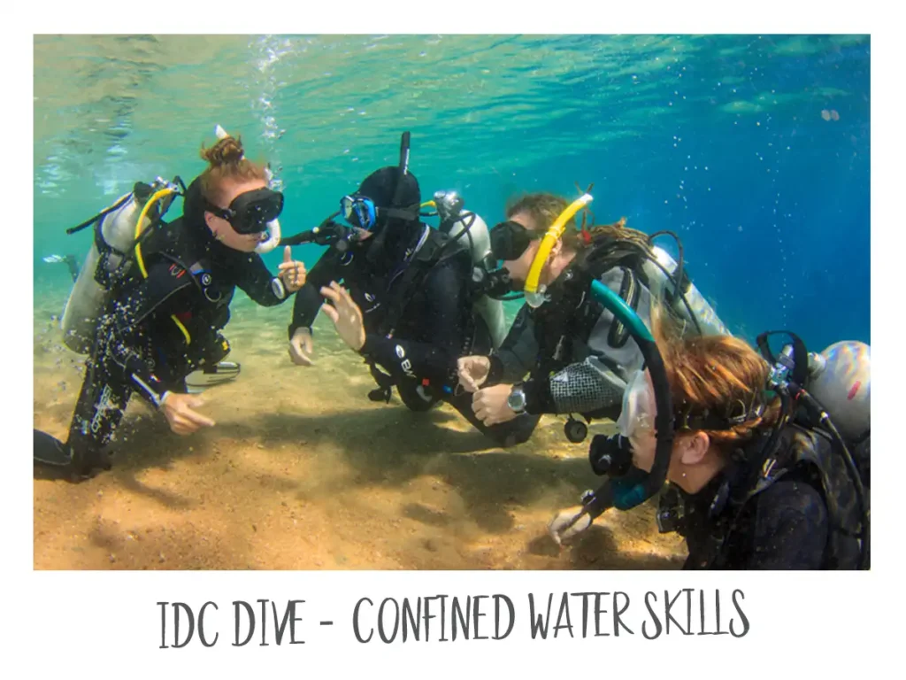 Mastering the Basics: Dive Skills Demostrations - IDC DIVE