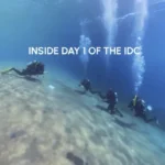 Inside day 1 of the IDC