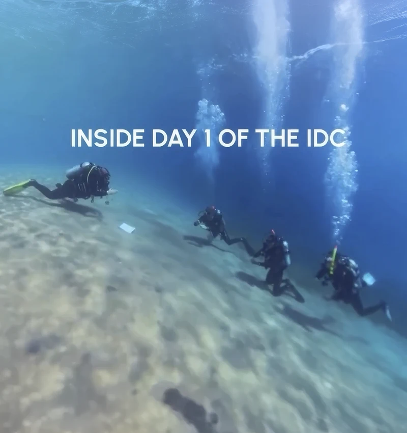 Inside day 1 of the IDC